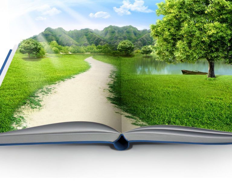 Guardando sensaciones y momentos