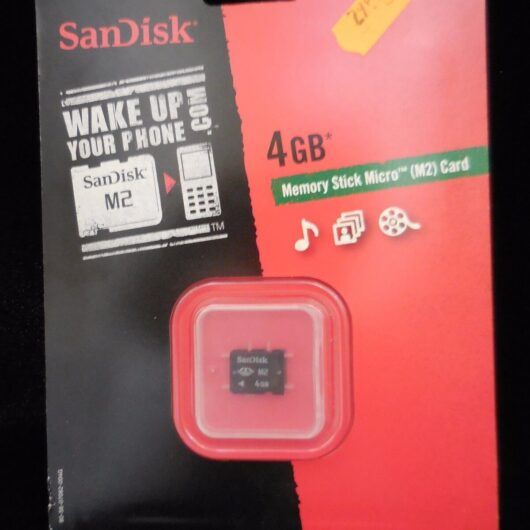 Memory Stick Micro (M2) card Sandisk Nueva