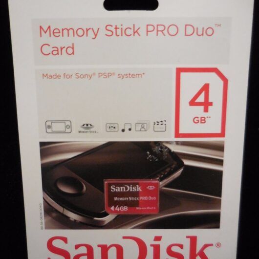 Memory Stick  Pro Duo 4 GB Nueva y Precintada.